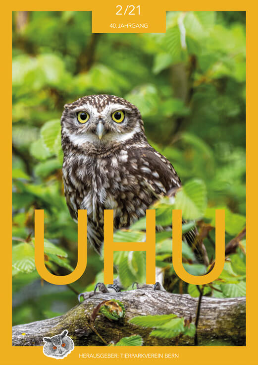 Titelblatt vom UHU Magazin